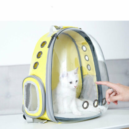 NOUVEAUTÉ - Sac à dos de transport transparent pour chat et chien