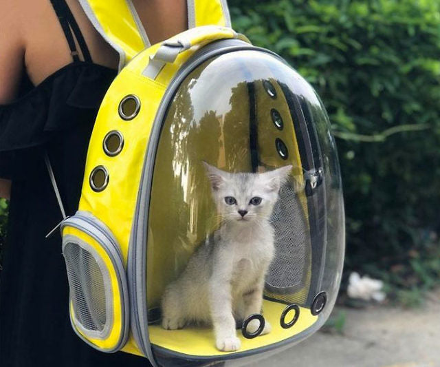 NOUVEAUTÉ - Sac à dos de transport transparent pour chat et chien