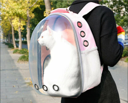 NOUVEAUTÉ - Sac à dos de transport transparent pour chat et chien