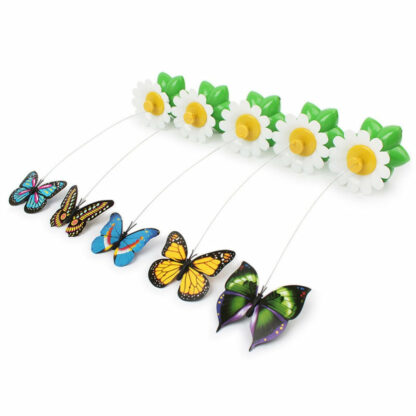 Jouet interactif pour chat papillon coloré