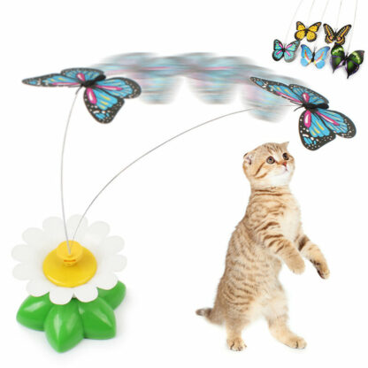 Jouet interactif pour chat papillon ou oiseau coloré